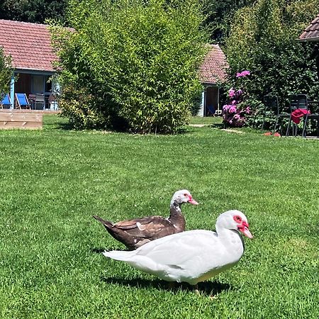 Le Pre Marin Villa Sotteville-sur-Mer Kültér fotó