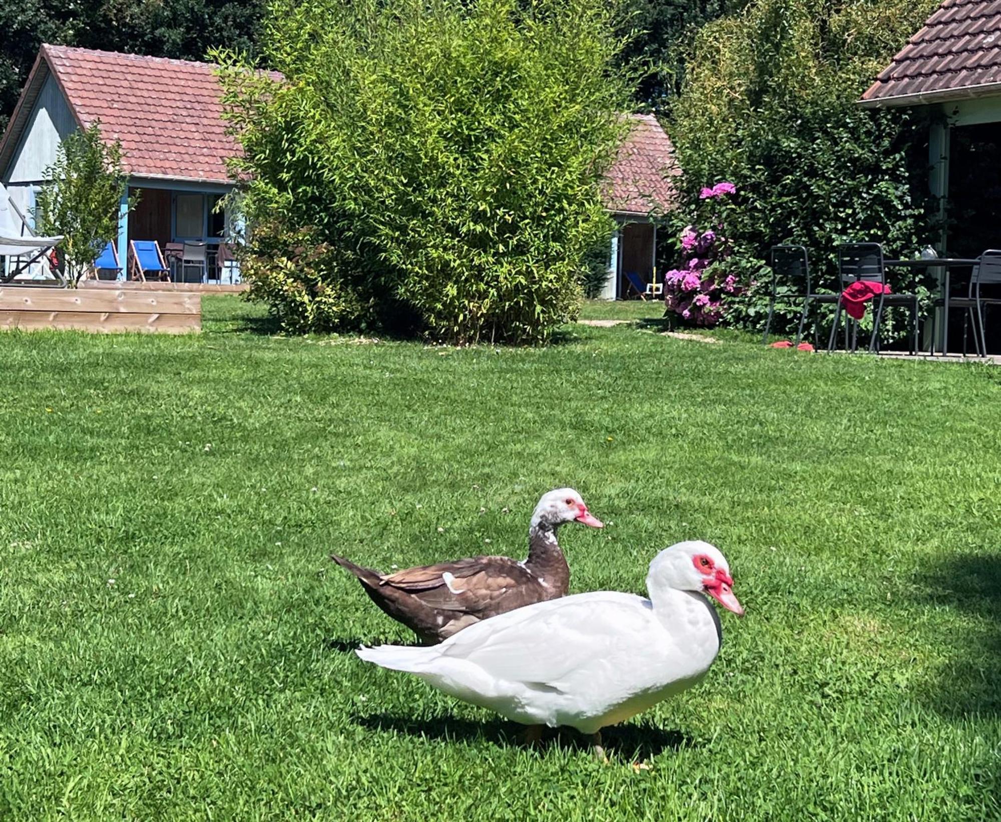 Le Pre Marin Villa Sotteville-sur-Mer Kültér fotó